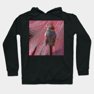 Against the Wing Hoodie